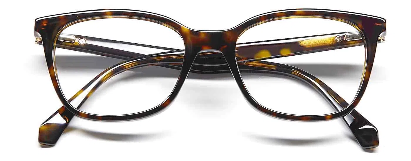 Polaroid Core PolaroidD423 Eyeglasses - view 11